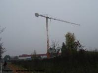 Imagine atasata: Vivalia - Bulbuca - 2015.11.08 - 01.jpg